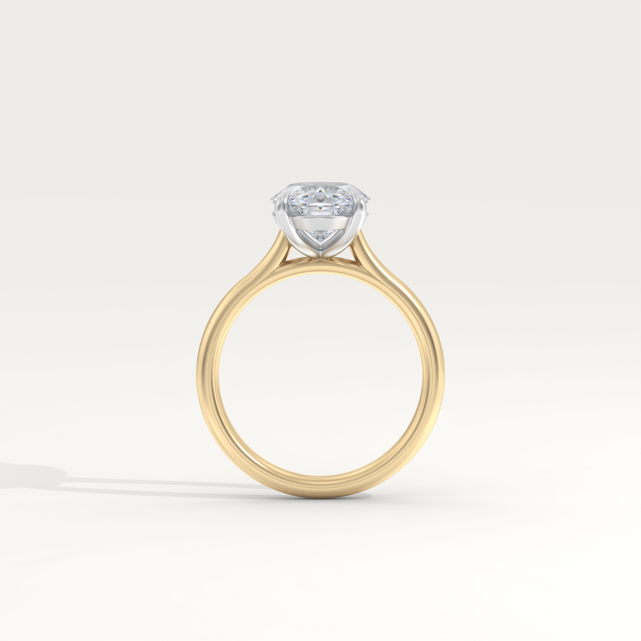 Faye Ring