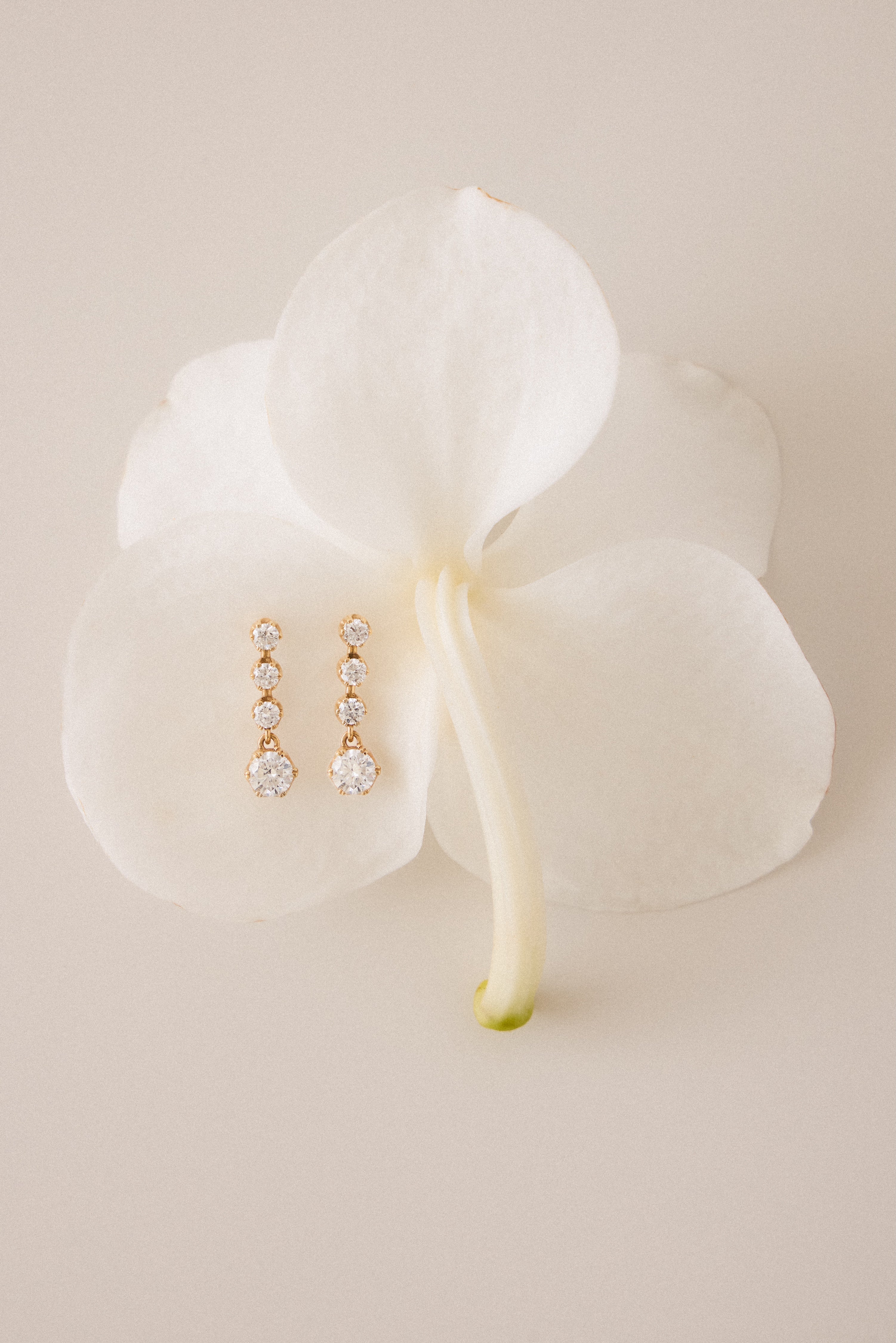 Solis Drop Earrings