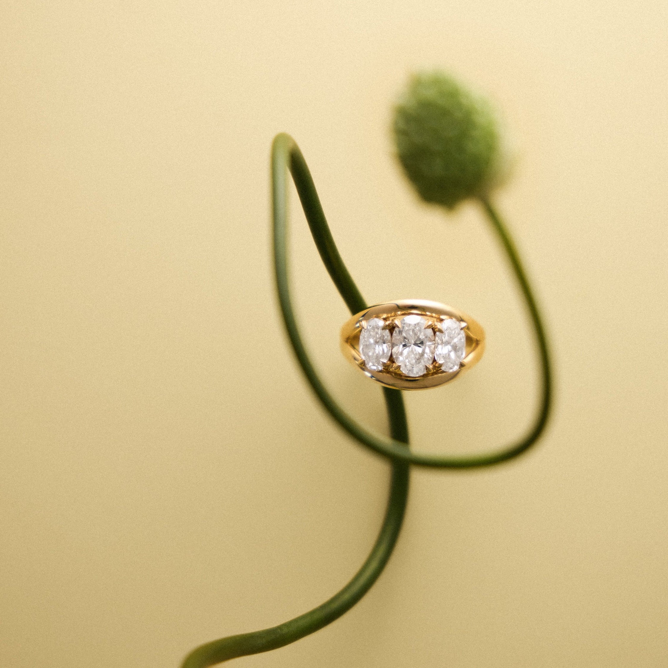 Sera Ring