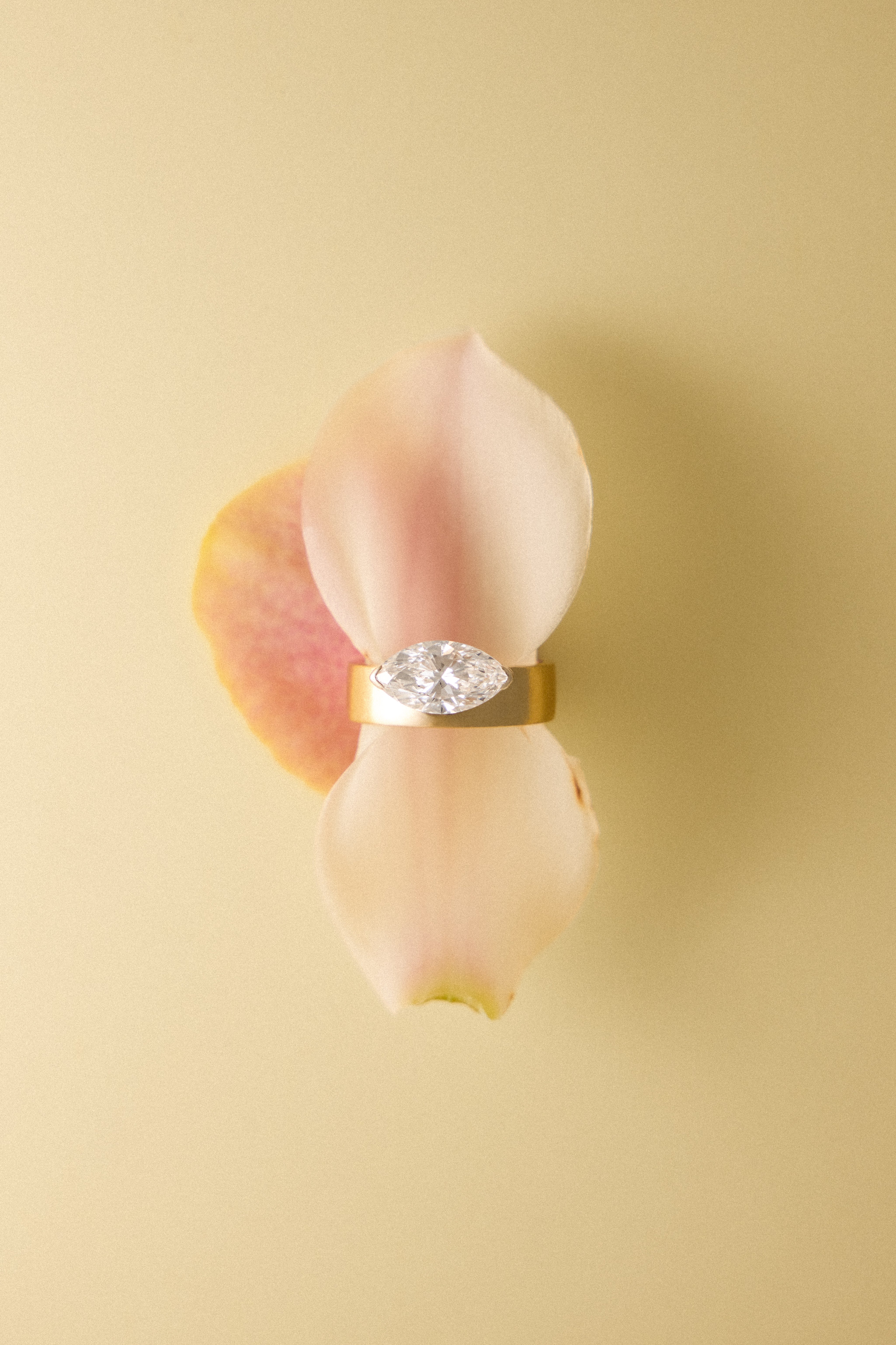 Axis Ring